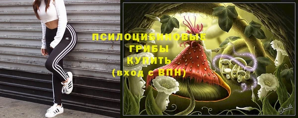 прущая мука Новодвинск