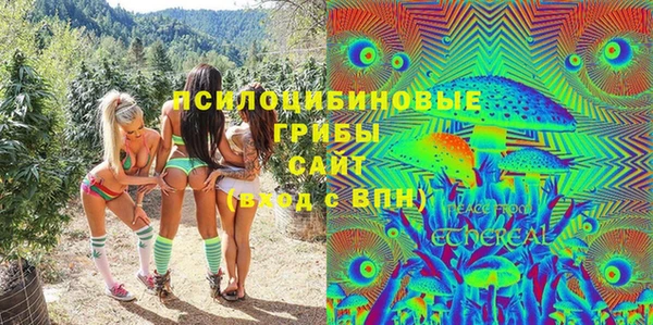трава Новозыбков