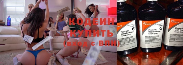 трава Новозыбков
