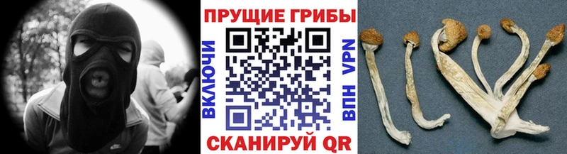 Галлюциногенные грибы ЛСД  Стрежевой 